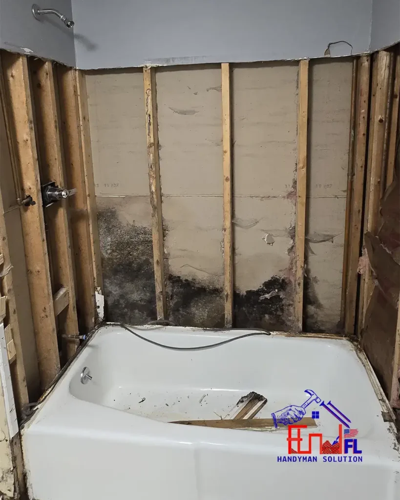 FL-Handyman-Solution---Basement-Renovation-and-Bath-Remodeling-25-09-24-9